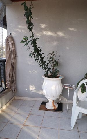 Apartamento para alugar com 104m², 3 quartos e 2 vagasSacada da Sala