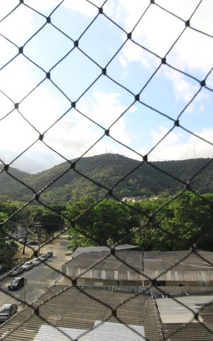 Apartamento para alugar com 50m², 2 quartos e sem vagaVista Quarto 2
