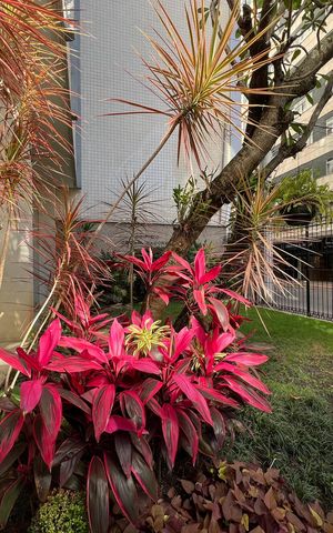 Apartamento para alugar com 182m², 4 quartos e 1 vaga Apartamento para alugar com 182m², 4 quartos e 1 vagaÁrea comum - jardim da entrada