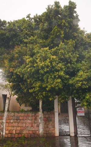 Casa para alugar com 160m², 4 quartos e 3 vagasFachada