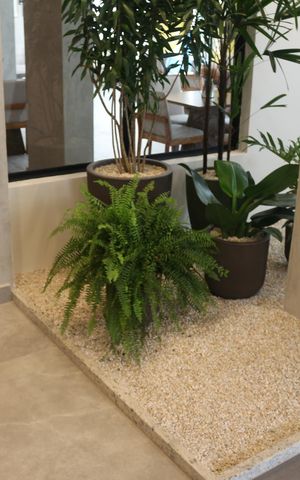 Apartamento para alugar com 62m², 2 quartos e 1 vagaHall social