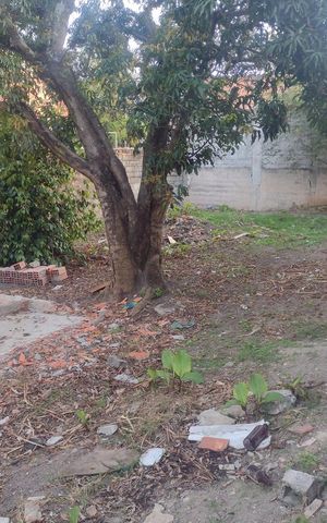 Casa à venda com 500m², 2 quartos e 10 vagas Casa à venda com 500m², 2 quartos e 10 vagasÁrea externa