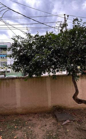 Apartamento à venda com 52m², 2 quartos e 1 vagaVista da Área de Serviço