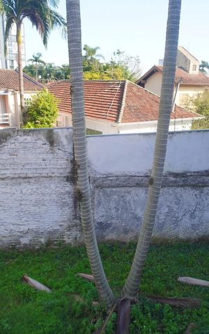 Casa para alugar com 180m², 3 quartos e 2 vagasQuintal