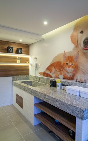 Apartamento para alugar com 31m², 1 quarto e sem vagaEspaço Pet