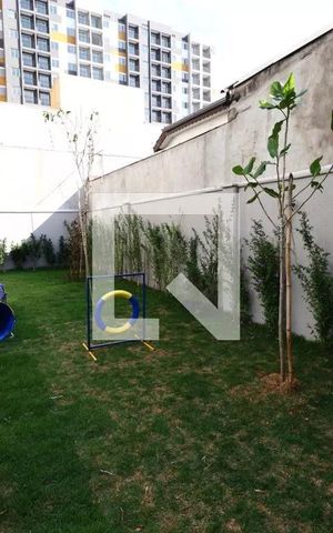 Apartamento para alugar com 25m², 1 quarto e sem vaga Apartamento para alugar com 25m², 1 quarto e sem vagaPet place