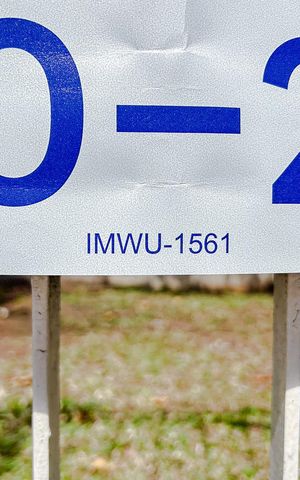 Apartamento para alugar com 67m², 2 quartos e 1 vagaIMWU-1561