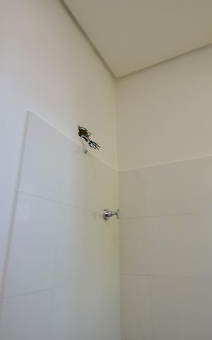 Casa de condomínio para alugar com 310m², 4 quartos e 3 vagasBanheiro