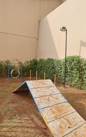 Apartamento para alugar com 39m², 2 quartos e sem vagaÁrea comum - Pet