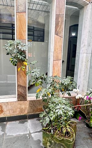 Casa à venda com 250m², 2 quartos e 6 vagas