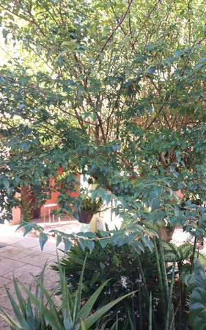 Casa à venda com 180m², 3 quartos e 2 vagasQuintal
