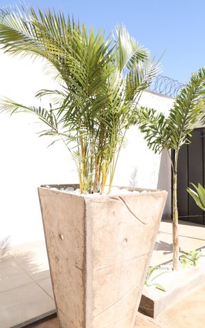 Apartamento para alugar com 80m², 2 quartos e 2 vagasHall de entrada