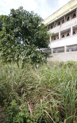 Casa à venda com 1187m², 2 quartos e 1 vagaQuintal
