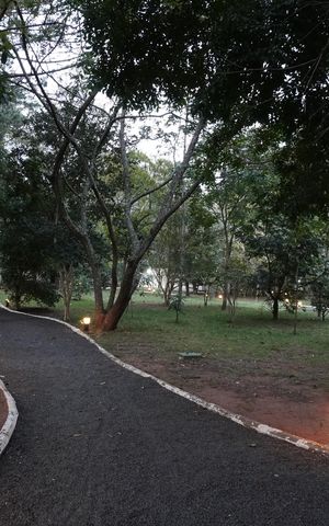 Apartamento para alugar com 67m², 3 quartos e 1 vagaÁrea comum - Praça do bosque