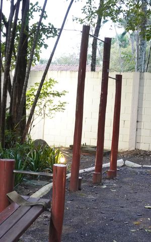 Apartamento para alugar com 67m², 3 quartos e 1 vagaÁrea comum - Praça do bosque