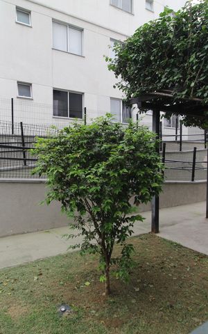 Apartamento à venda com 48m², 2 quartos e 1 vagaQuarto 1 - Vista
