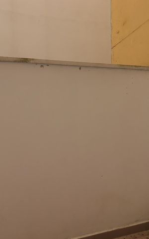Apartamento para alugar com 50m², 2 quartos e 1 vagaVaranda da Suíte