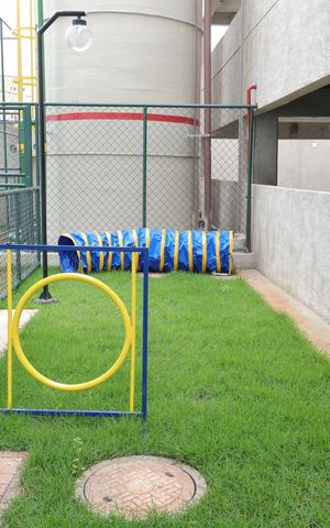 Apartamento para alugar com 38m², 2 quartos e 1 vagaÁrea comum - Pet