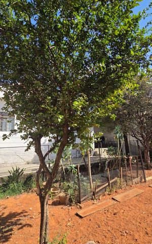 Casa à venda com 96m², 3 quartos e 1 vaga
