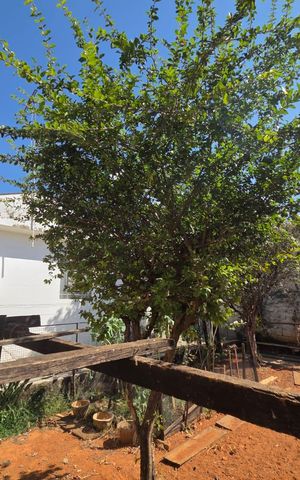 Casa à venda com 96m², 3 quartos e 1 vaga