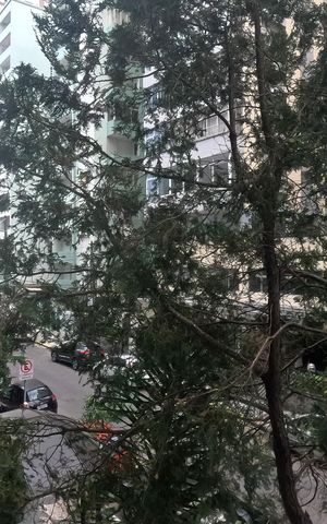 Apartamento para alugar com 85m², 2 quartos e 1 vagaVista da Varanda da Sala