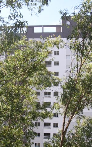 Apartamento para alugar com 48m², 2 quartos e 1 vagaVista da Varanda