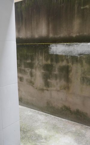 Casa para alugar com 83m², 2 quartos e sem vagaÁrea externa