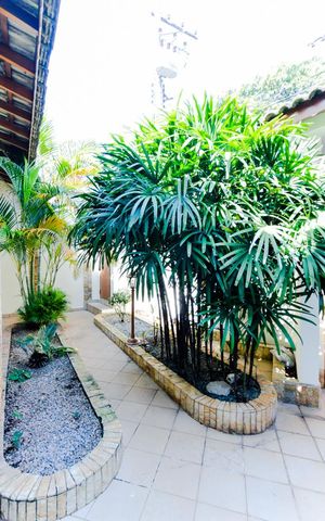 Casa para alugar com 250m², 4 quartos e 4 vagasJardim