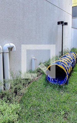 Studio para alugar com 25m², 1 quarto e sem vaga Studio para alugar com 25m², 1 quarto e sem vagaEspaço Pet