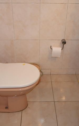 Casa à venda com 416m², 7 quartos e 5 vagasBanheiro 1