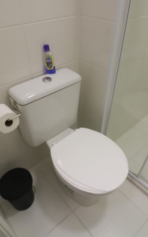 Apartamento para alugar com 55m², 2 quartos e 1 vagaBanheiro 2