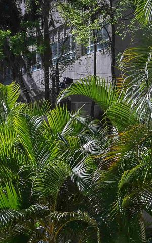 Apartamento à venda com 83m², 3 quartos e 2 vagasVista
