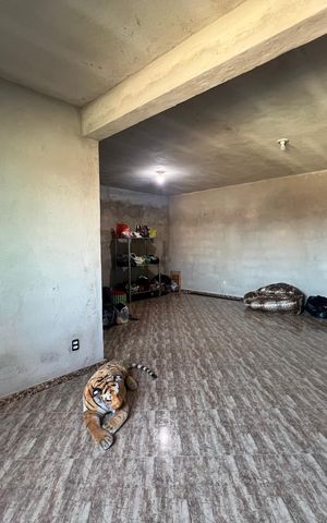 Casa à venda com 300m², 4 quartos e 4 vagas Casa à venda com 300m², 4 quartos e 4 vagasQuarto Suíte 1