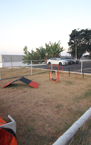 Apartamento para alugar com 45m², 2 quartos e 1 vagaÁrea comum