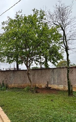 Casa para alugar com 288m², 2 quartos e 2 vagas Casa para alugar com 288m², 2 quartos e 2 vagasEntrada
