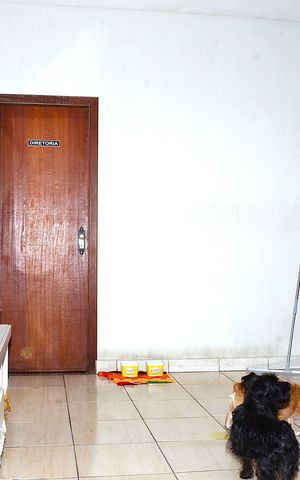 Casa para alugar com 100m², 3 quartos e 1 vagaSala