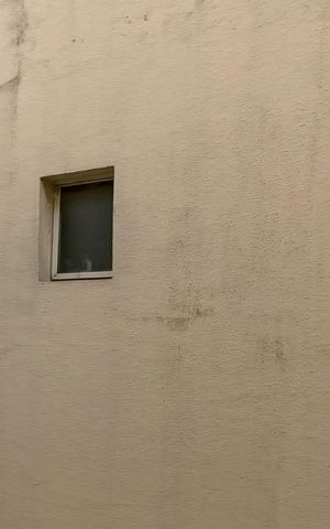 Casa para alugar com 174m², 3 quartos e 2 vagasVista da Área de Serviço - 1º Piso