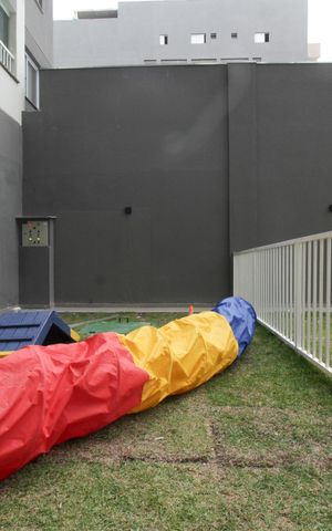 Studio para alugar com 17m², 1 quarto e sem vaga Studio para alugar com 17m², 1 quarto e sem vagaPet place