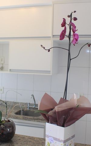 Apartamento à venda com 83m², 3 quartos e 2 vagasCozinha