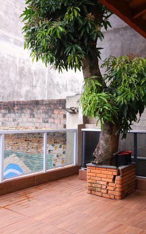 Casa para alugar com 85m², 3 quartos e sem vagaQuintal