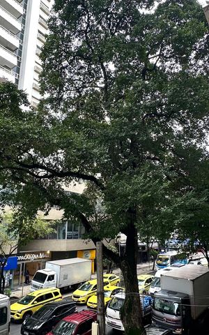 Apartamento para alugar com 70m², 2 quartos e sem vaga