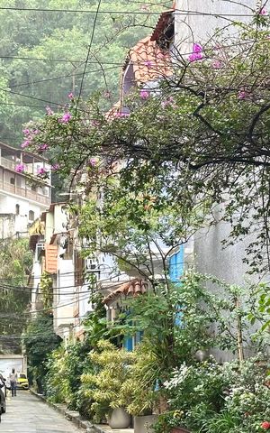 Casa à venda com 68m², 2 quartos e 1 vaga