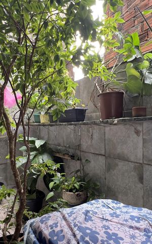Casa à venda com 50m², 7 quartos e 3 vagas Casa à venda com 50m², 7 quartos e 3 vagasÁrea externa