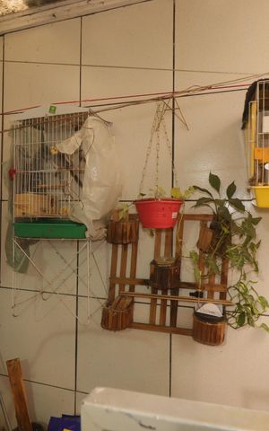 Casa de condomínio à venda com 115m², 3 quartos e 2 vagasQuintal