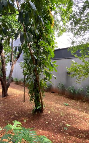 Apartamento para alugar com 59m², 2 quartos e 1 vagaÁreas Comuns
