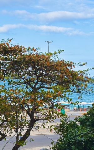 Apartamento para alugar com 104m², 3 quartos e 1 vaga