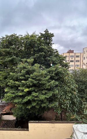 Apartamento para alugar com 55m², 2 quartos e sem vagaVista da Sala