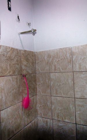 Studio para alugar com 32m², 1 quarto e sem vagaBanheiro