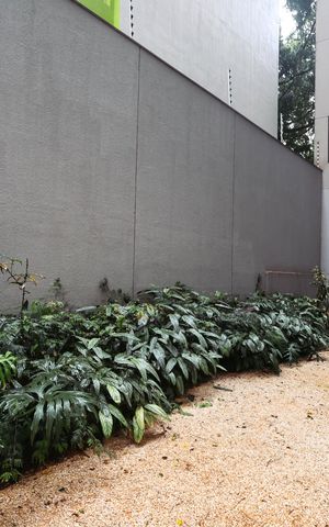 Studio para alugar com 25m², 1 quarto e sem vagaArea Pet