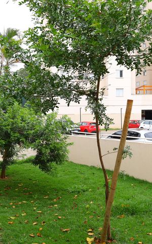 Apartamento para alugar com 52m², 2 quartos e 1 vagaÁrea comum